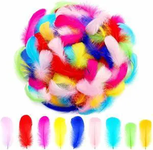 Lamar 300 Pcs Colorful Feathers for Crafting 3-4 Inch | Bulk feathers for crafting, pipe cleaner, dream catchers, back to school, art projects, DIY crafts, handi crafts, Halloween Lamar 300 Pcs Colorful Feathers for Crafting 3-4 Inch | Bulk feathers for crafting, pipe cleaner, dream catchers, back to school, art projects, DIY crafts, handi crafts, Halloween
