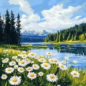 QENSPE Paint by Numbers Kit for Adults, DIY White Daisy Paint by Number Kits on Canvas, Landscape Adult Painting by Numbers, Arcylic Oil Painting for Home Wall Decor Gifts Without Frame 16x16 Inch QENSPE Paint by Numbers Kit for Adults, DIY White Daisy Paint by Number Kits on Canvas, Landscape Adult Painting by Numbers, Arcylic Oil Painting for Home Wall Decor Gifts Without Frame 16x16 Inch