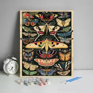 HULDFRDA Paint by Numbers Kit for Adults Butterflies and Moths Paint by Numbers Insect Paint by Number Kits DIY Painting by Numbers Adults' Paint-by-Number Kits Home Wall Decor,16x20 Inch HULDFRDA Paint by Numbers Kit for Adults Butterflies and Moths Paint by Numbers Insect Paint by Number Kits DIY Painting by Numbers Adults' Paint-by-Number Kits Home Wall Decor,16x20 Inch