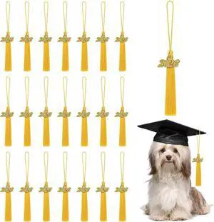 30 PCS 2026 Mini Graduation Tassels for Crafts 5.1 Inches Bookmark Tassels for Graduation Decor, Cap Keychain Ornaments DIY Craft Jewelry Making (Gold) 30 PCS 2026 Mini Graduation Tassels for Crafts 5.1 Inches Bookmark Tassels for Graduation Decor, Cap Keychain Ornaments DIY Craft Jewelry Making (Gold)