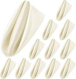 ANECO 12 Pieces Satin Napkins Soft Dinner Napkins Square Table Napkins 17 x 17 Inches for Restaurant Weddings Party Dinner Decoration (Ivory) ANECO 12 Pieces Satin Napkins Soft Dinner Napkins Square Table Napkins 17 x 17 Inches for Restaurant Weddings Party Dinner Decoration (Ivory)