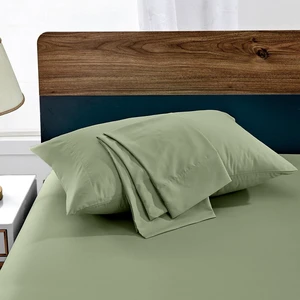 Sage Green Pillowcases Queen Size 2 Pack - Pillowcase Set - Envelope Closure - Soft Brushed Microfiber Fabric - 20x30 Inches Pillow Case Set of 2 for Home, Hotels, Schools Sage Green Pillowcases Queen Size 2 Pack - Pillowcase Set - Envelope Closure - Soft Brushed Microfiber Fabric - 20x30 Inches Pillow Case Set of 2 for Home, Hotels, Schools