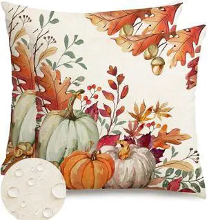 Fall Outdoor Pillow Covers 18x18 Set of 2 Waterproof Pumpkin Decor Fall Outdoor Pillow Covers 18x18 Set of 2 Waterproof Pumpkin Decor