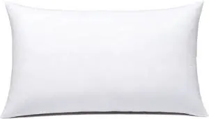 Throw Pillow Inserts Hypoallergenic Premium Pillow Stuffer Square Form for Decorative Pillow Covers Cushion Set of 1-12 x 20 Inches Throw Pillow Inserts Hypoallergenic Premium Pillow Stuffer Square Form for Decorative Pillow Covers Cushion Set of 1-12 x 20 Inches