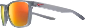 Wayfarers Unisex Adult Wayfarers Unisex Adult