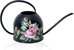 Small Metal Watering Can for Indoor & Outdoor Plants Small Metal Watering Can for Indoor & Outdoor Plants