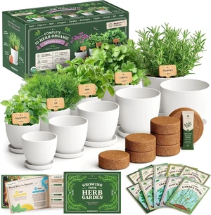 Non-GMO Organic Herb Seeds for Planting (Herb Garden Starter Kit) Non-GMO Organic Herb Seeds for Planting (Herb Garden Starter Kit)