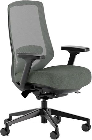 Mesh Ergonomic Chair Pro Office Chair with 14 Points of Adjustment Mesh Ergonomic Chair Pro Office Chair with 14 Points of Adjustment