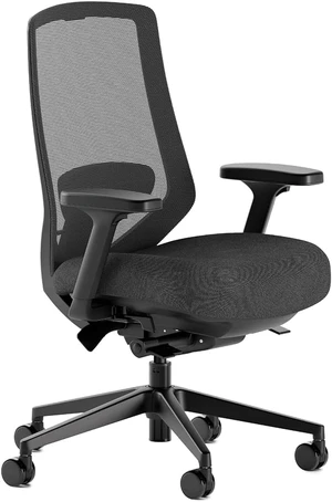 Ergonomic Chair Pro Mesh Office Chair 14 Points of Adjustment Ergonomic Chair Pro Mesh Office Chair 14 Points of Adjustment