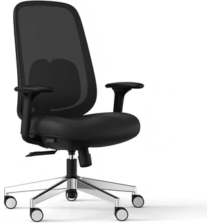 Ergonomic Office Chair with 3D Armrests & Expanded Lumbar Support Ergonomic Office Chair with 3D Armrests & Expanded Lumbar Support