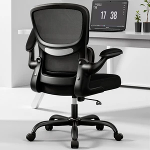 Ergonomic Breathable Mesh Office Chair with Adjustable Lumbar Support & Flip-Up Armrests Executive Swivel Chair for Home Office, Black Ergonomic Breathable Mesh Office Chair with Adjustable Lumbar Support & Flip-Up Armrests Executive Swivel Chair for Home Office, Black