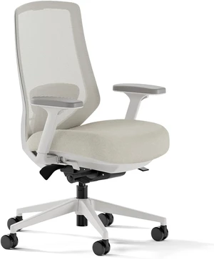 Mesh Ergonomic Chair Pro Office Chair with 14 Points of Adjustment Mesh Ergonomic Chair Pro Office Chair with 14 Points of Adjustment