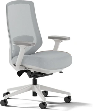 Ergonomic Chair Pro Mesh Office Chair with 14 Points of Adjustment Ergonomic Chair Pro Mesh Office Chair with 14 Points of Adjustment