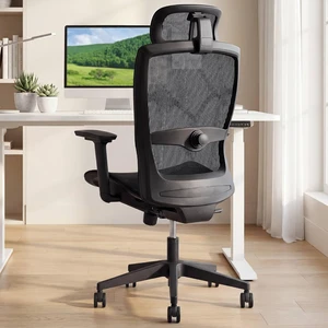 Comfy Ergonomic Office Chair, Desk Chair with Lumbar Support Comfy Ergonomic Office Chair, Desk Chair with Lumbar Support
