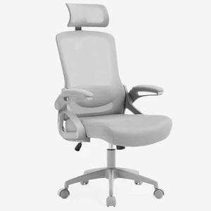 Mesh Office Computer Chair with Adjustable Lumbar Support Mesh Office Computer Chair with Adjustable Lumbar Support
