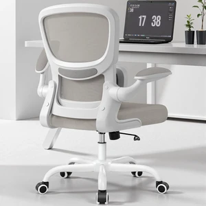 Ergonomic Mesh Office Chair Breathable Computer Desk Chair with Adjustable Lumbar Support, Flip-Up Armrests, Executive Swivel Design, LightGray Ergonomic Mesh Office Chair Breathable Computer Desk Chair with Adjustable Lumbar Support, Flip-Up Armrests, Executive Swivel Design, LightGray