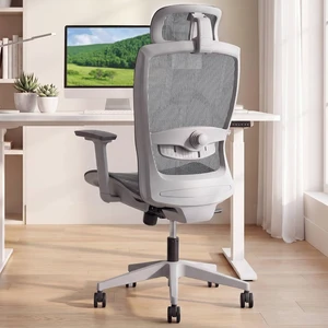 Comfy Ergonomic Office Chair, Desk Chair with Lumbar Support Comfy Ergonomic Office Chair, Desk Chair with Lumbar Support