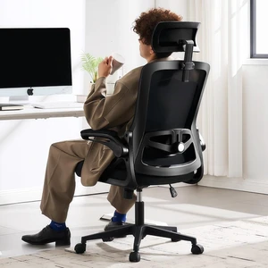 Mesh Computer Office Chair with Adjustable Lumbar Support Mesh Computer Office Chair with Adjustable Lumbar Support