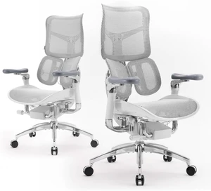 Doro S300 Ergonomic Office Chair with Full-Body Coordinated Support Doro S300 Ergonomic Office Chair with Full-Body Coordinated Support