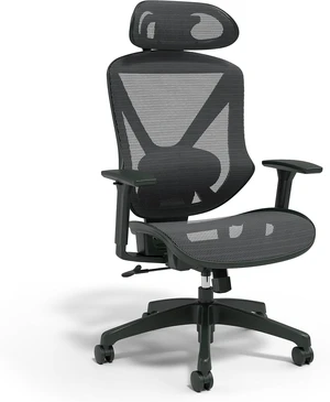 Dexley Ergonomic Mesh Task Chair with Adjustable Lumbar Support, Black Dexley Ergonomic Mesh Task Chair with Adjustable Lumbar Support, Black