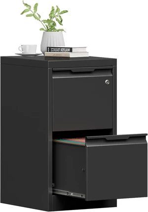 2 Drawer Small Metal Vertical File Cabinet with Lock 2 Drawer Small Metal Vertical File Cabinet with Lock