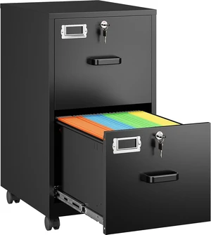 2 Drawer File Cabinet on Wheels Black Metal Rolling Cabinet with Lock & Casters, Under Desk for A4/Letter/Legal, Easy Assembly 2 Drawer File Cabinet on Wheels Black Metal Rolling Cabinet with Lock & Casters, Under Desk for A4/Letter/Legal, Easy Assembly