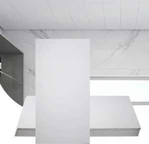 2ft x 4ft White PVC Drop Ceiling Tiles, 10-Pack 2ft x 4ft White PVC Drop Ceiling Tiles, 10-Pack