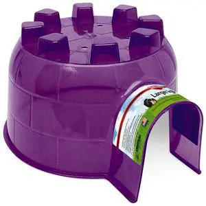 Kaytee Igloo Habitat Hideout for Pet Guinea Pigs, Ferrets, Dwarf Rabbits, Chinchillas, and Other Small Animals, Large, Plastic Kaytee Igloo Habitat Hideout for Pet Guinea Pigs, Ferrets, Dwarf Rabbits, Chinchillas, and Other Small Animals, Large, Plastic
