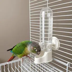 Automatic Hanging Bird Water Bottle - No Drip Cage Mounted Water Feeder for Parakeets, Cockatiels, Budgies, Lovebirds, Finches, Canaries, Parrots, Bird Cage Accessories T Automatic Hanging Bird Water Bottle - No Drip Cage Mounted Water Feeder for Parakeets, Cockatiels, Budgies, Lovebirds, Finches, Canaries, Parrots, Bird Cage Accessories T