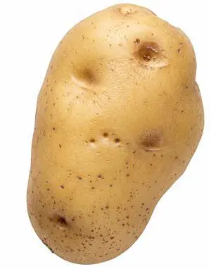 Potato Stress Reliever Squeeze Toy Stress Ball Funny Gift Potato Stress Reliever Squeeze Toy Stress Ball Funny Gift