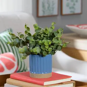 Mainstays by Becky G. & Alejandra 8" Artificial Eucalyptus in Blue Two-Tone Ribbed Ceramic Pot Mainstays by Becky G. & Alejandra 8" Artificial Eucalyptus in Blue Two-Tone Ribbed Ceramic Pot