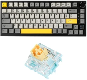 AK820 Pro 75% Wireless Mechanical Keyboard+Sea Salt Silent Mechanical Keyboard Switches Set AK820 Pro 75% Wireless Mechanical Keyboard+Sea Salt Silent Mechanical Keyboard Switches Set