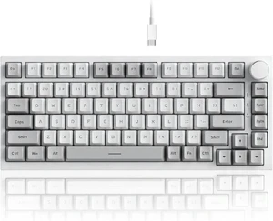 AK820 Wired 75% Mechanical Keyboard, HP-Style Tactile, Hot-Swappable | 81key PBT keycaps, White Backlit 20 modes, Metal Volume Knob, USB-C, Gasket Mount, 5-layer Foam, Dual Drivers Options, PC/Mac AK820 Wired 75% Mechanical Keyboard, HP-Style Tactile, Hot-Swappable | 81key PBT keycaps, White Backlit 20 modes, Metal Volume Knob, USB-C, Gasket Mount, 5-layer Foam, Dual Drivers Options, PC/Mac