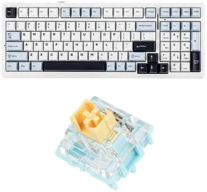 x Aula F99 Wireless Mechanical Keyboard + 35 pcs Sea Salt Silent Mechanical Switch x Aula F99 Wireless Mechanical Keyboard + 35 pcs Sea Salt Silent Mechanical Switch