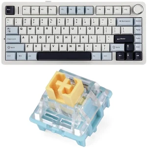 x Aula F75 Gasket Mechanical Keyboard with Five-Layer Padding&Knob + Sea Salt Silent Mechanical Keyboard Switches Set x Aula F75 Gasket Mechanical Keyboard with Five-Layer Padding&Knob + Sea Salt Silent Mechanical Keyboard Switches Set