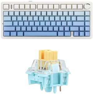 x Aula F75 Gasket Mechanical Keyboard+35 Pieces Sea Salt Silent Mechanical Keyboard Switches Set x Aula F75 Gasket Mechanical Keyboard+35 Pieces Sea Salt Silent Mechanical Keyboard Switches Set