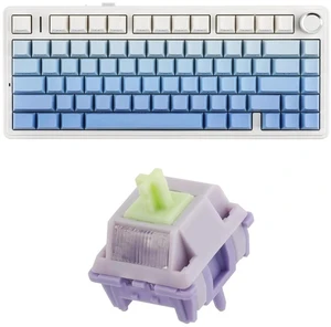 x Aula F75 Gasket Mechanical Keyboard+35 Pieces Wisteria V2 Linear 38gf Keyboard Switches Set x Aula F75 Gasket Mechanical Keyboard+35 Pieces Wisteria V2 Linear 38gf Keyboard Switches Set