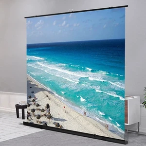 Projector Screen 60 Inch Portable Folding Projection Screen, 4k HD Home Theater Cinema Movie Screen, 16:9 4:3, Compatible with Projector(16:9,72inch) Projector Screen 60 Inch Portable Folding Projection Screen, 4k HD Home Theater Cinema Movie Screen, 16:9 4:3, Compatible with Projector(16:9,72inch)