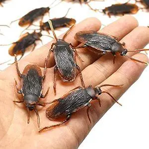Prank Fake Roaches, Favorite Trick Joke Toys Look Real, Scary Insects Realistic Plastic Bugs, Novelty Cockroach for Party, Christmas, Halloween (5) Prank Fake Roaches, Favorite Trick Joke Toys Look Real, Scary Insects Realistic Plastic Bugs, Novelty Cockroach for Party, Christmas, Halloween (5)