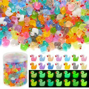 240pcs Luminous Mini Resin Ducks, Tiny Animals Bulk Glow in The Dark Small Plastic Miniature Ducks Figures for Dollhouse Decor Micro Garden Home Landscape Aquarium Craft Gifts Party Favors Toys 240pcs Luminous Mini Resin Ducks, Tiny Animals Bulk Glow in The Dark Small Plastic Miniature Ducks Figures for Dollhouse Decor Micro Garden Home Landscape Aquarium Craft Gifts Party Favors Toys