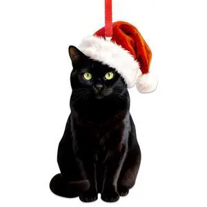 Black Cat Christmas Ornament - 2D Realistic Cats Ornaments for Christmas Tree - Acrylic Lifelike Kitten Ornament Decor, Gifts for Cat Lovers Women & Men Pet Memorial Keepsake Black Cat Christmas Ornament - 2D Realistic Cats Ornaments for Christmas Tree - Acrylic Lifelike Kitten Ornament Decor, Gifts for Cat Lovers Women & Men Pet Memorial Keepsake