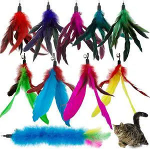 CATENESS Cat Feather Toys Refills, 10 Pieces Cat Wand Replacement Feathers Toy for Indoor Cats CATENESS Cat Feather Toys Refills, 10 Pieces Cat Wand Replacement Feathers Toy for Indoor Cats