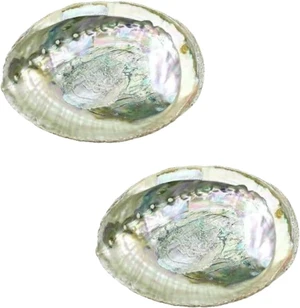 2 Pcs Large Abalone Shell Bowl 4-4.5 Inch Colorful Natural Smudge Bowl for Sage Burning and Incense Sea Shell Smudging Bowl for Decor and Display, Incense Holders 2 Pcs Large Abalone Shell Bowl 4-4.5 Inch Colorful Natural Smudge Bowl for Sage Burning and Incense Sea Shell Smudging Bowl for Decor and Display, Incense Holders