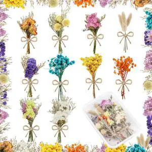 10 Pcs Mini Dried Flowers Bouquet Natural Gypsophila Don't Forget Me Dried Flowers Bouquet Plant Stem Bunch for DIY Craft Card Photo Props Vase Wedding Decor(Colorful) 10 Pcs Mini Dried Flowers Bouquet Natural Gypsophila Don't Forget Me Dried Flowers Bouquet Plant Stem Bunch for DIY Craft Card Photo Props Vase Wedding Decor(Colorful)