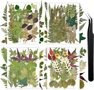 110+ Pcs Dried Flowers Leaves for Crafts, Real Pressed Flowers Dry Leaves for Resin Scrapbooking DIY Art Crafts Epoxy Resin Jewelry Mold Candle Soap Making Nails Décor 110+ Pcs Dried Flowers Leaves for Crafts, Real Pressed Flowers Dry Leaves for Resin Scrapbooking DIY Art Crafts Epoxy Resin Jewelry Mold Candle Soap Making Nails Décor