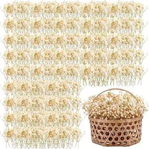 Fumete 50 Pcs Mini Dried Baby Breath Flowers Dried Flowers for Wedding Fumete 50 Pcs Mini Dried Baby Breath Flowers Dried Flowers for Wedding