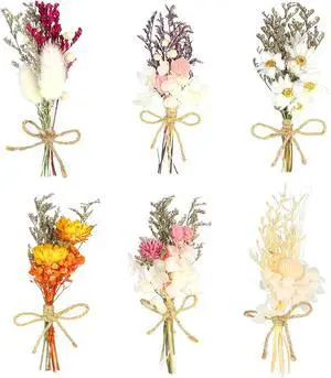 6Pcs Mini Dried Flowers Bouquet, Mixed Natural Dried Flowers Gypsophila Bouquets Boutonniere Table Centerpieces Birthday Cake Flowers for DIY Crafts with 3 Flower Stickers 10m Hemp Rope 6Pcs Mini Dried Flowers Bouquet, Mixed Natural Dried Flowers Gypsophila Bouquets Boutonniere Table Centerpieces Birthday Cake Flowers for DIY Crafts with 3 Flower Stickers 10m Hemp Rope