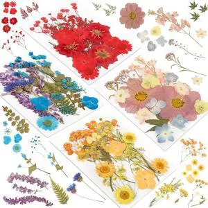 72Pcs Dried Pressed Flowers for Resin, Natural Dried Flowers for Crafts, Real Pressed Flowers Dry Leaves Bulk for Epoxy Resin Jewelry,Scrapbook,Picture Frame,Bookmarks,Candle & Soap Making 72Pcs Dried Pressed Flowers for Resin, Natural Dried Flowers for Crafts, Real Pressed Flowers Dry Leaves Bulk for Epoxy Resin Jewelry,Scrapbook,Picture Frame,Bookmarks,Candle & Soap Making