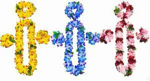 12 Counts Hawaiian Leis, Tropical Flower Lei Necklaces for Luau Party Supplies, Premium Artificial Leis for Graduation, Wedding, Beach & Birthday Party Favors 12 Counts Hawaiian Leis, Tropical Flower Lei Necklaces for Luau Party Supplies, Premium Artificial Leis for Graduation, Wedding, Beach & Birthday Party Favors