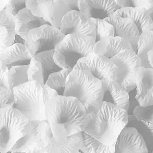 WISYOK 3600Pcs Silk Rose Petals, White WISYOK 3600Pcs Silk Rose Petals, White